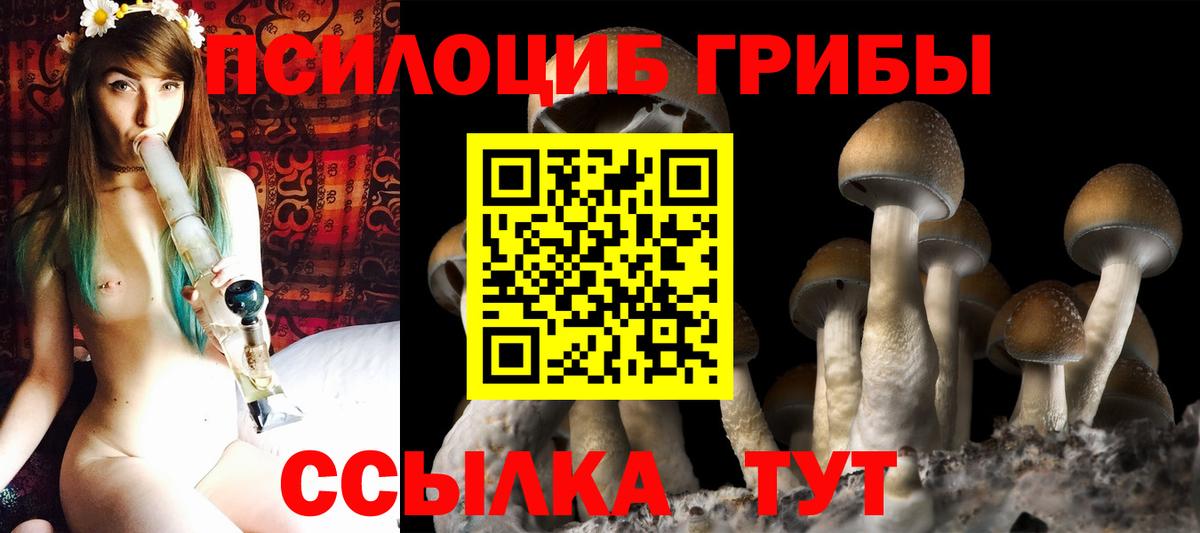 Великий Устюг  Галлюциногенные грибы прущие грибы  Вход с VPN 